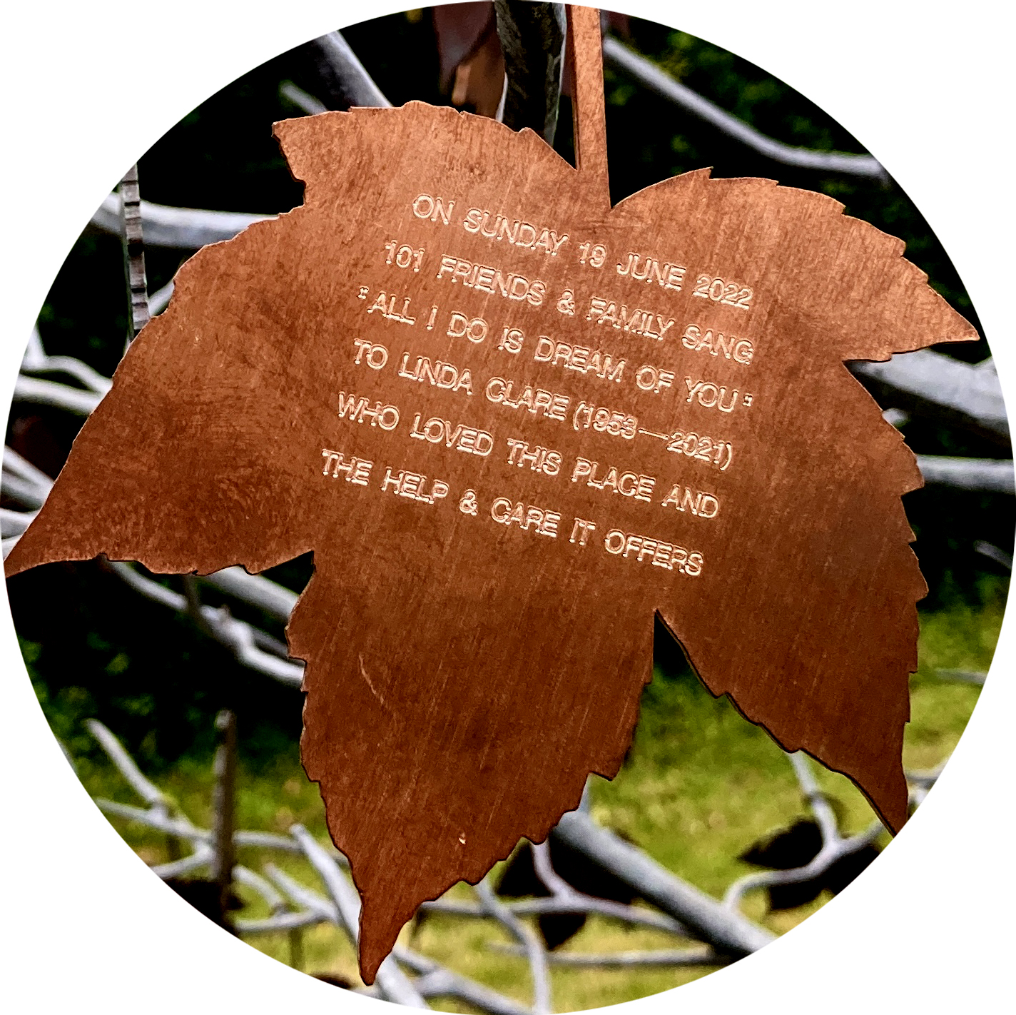 Engraved bronze leaf ... text transcribed in panel on right